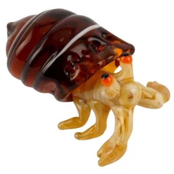 Glass Hermit Crab