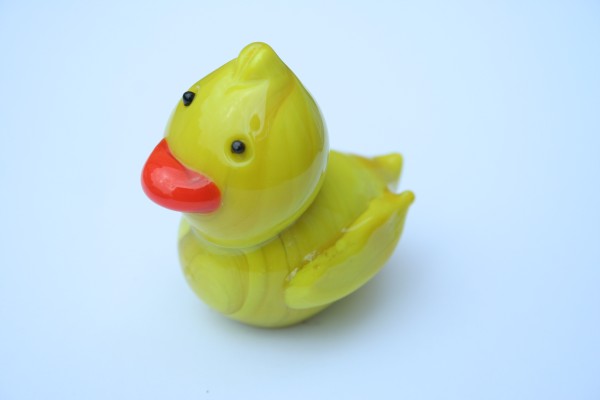 Glass Duck