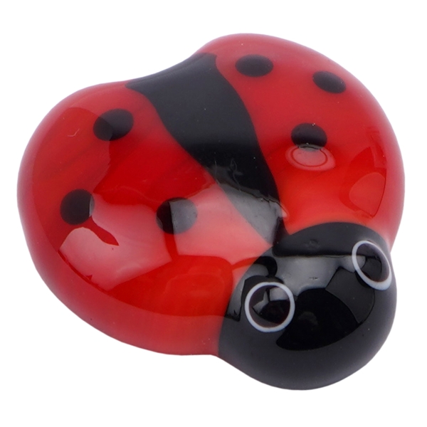 Glass Ladybird