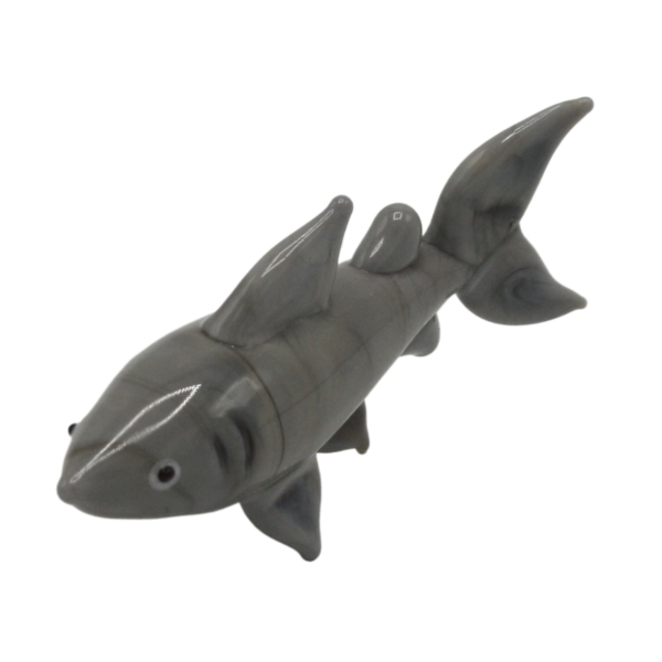 Glass Shark