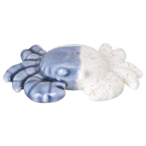 Porcelain Crab