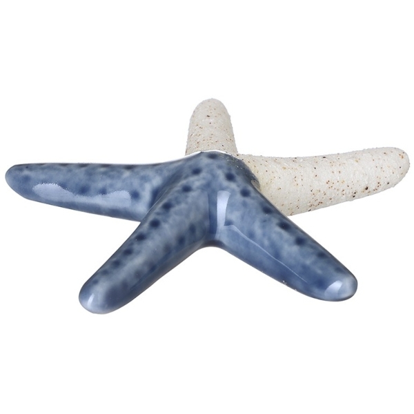 Porcelain Star Fish