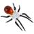 Glass Spider - view 2