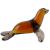 Glass Sea Lion - view 3