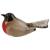 Glass Robin - view 2