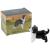 Glass Border Collie - view 5