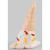 Glass Melting Ice Cream - view 3