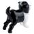 Glass Border Collie - view 3