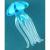 Glass Jellyfish - view 4