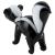 Glass Skunk - view 3