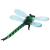 Glass Dragonfly - view 2