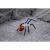 Glass Spider - view 4